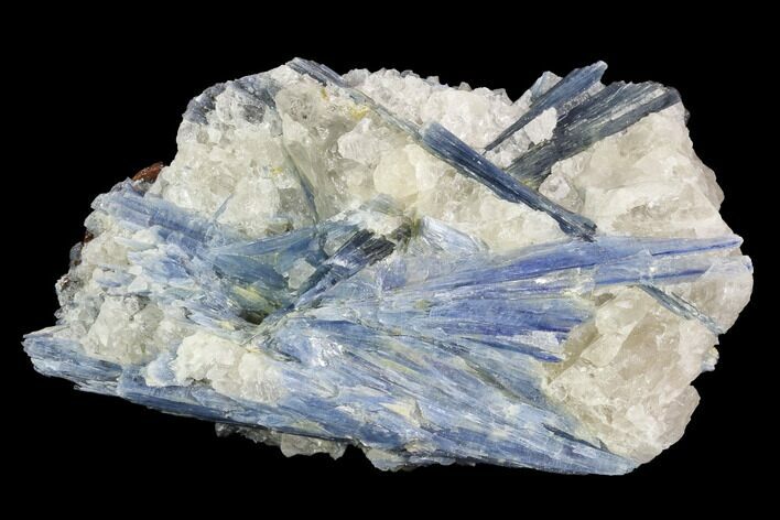 Vibrant Blue Kyanite Crystal Cluster in Quartz - Brazil #97973